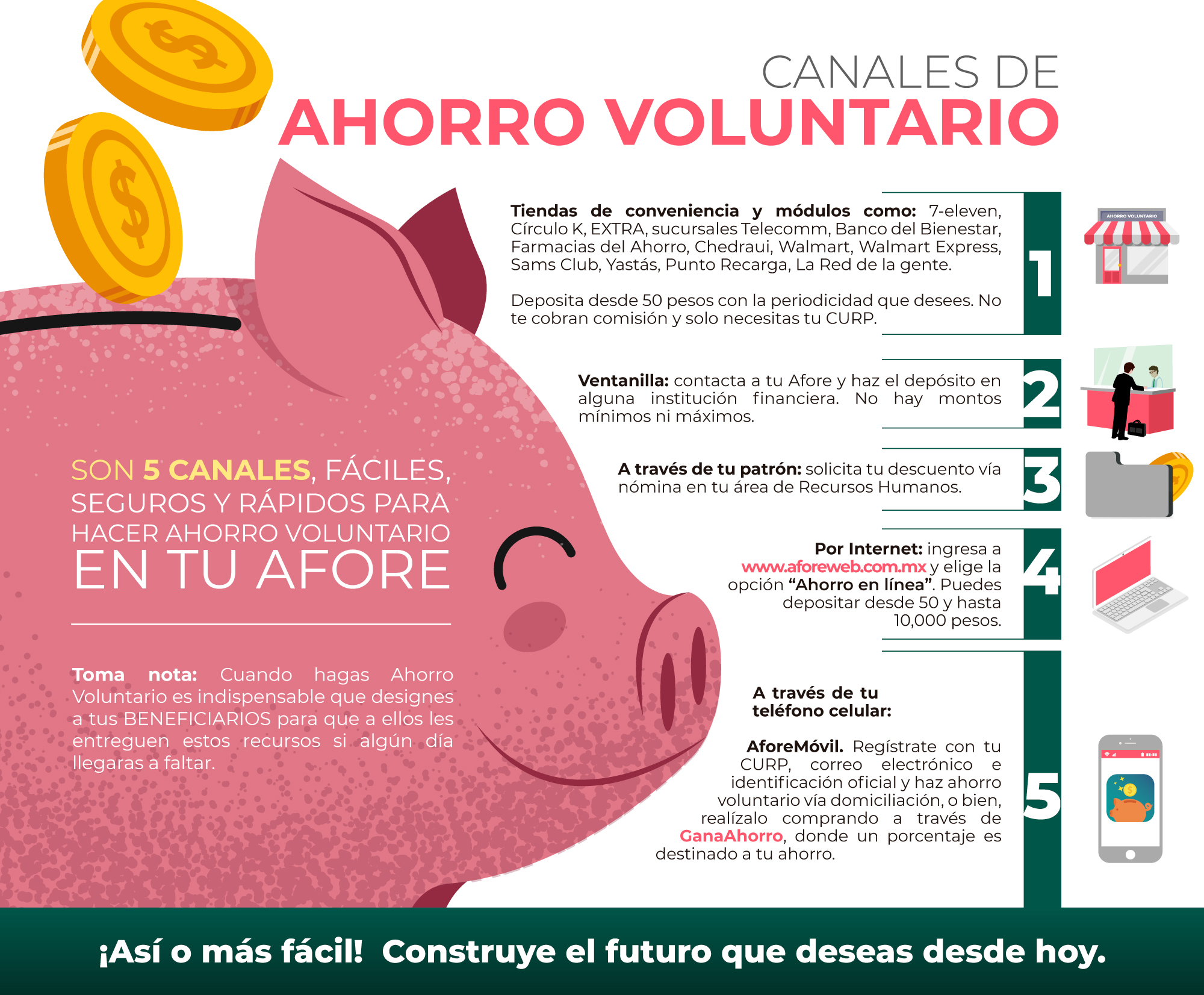 Ahorro Voluntario - CONSAR LMS